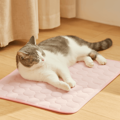 Chill&Woof – Le Tapis Rafraîchissant de ComZona